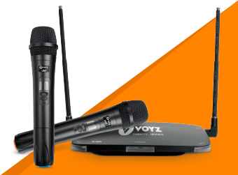 MICROPHONES_VZ_LB33-FLIPBOX